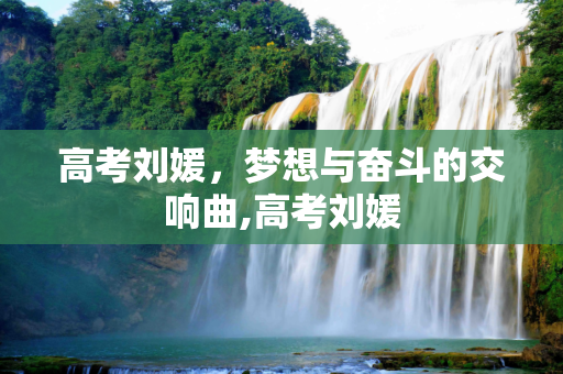 高考刘媛，梦想与奋斗的交响曲,高考刘媛