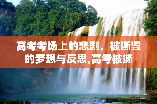 高考考场上的悲剧，被撕毁的梦想与反思,高考被撕