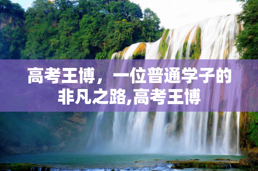 高考王博，一位普通学子的非凡之路,高考王博