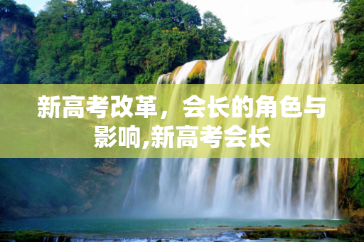 新高考改革，会长的角色与影响,新高考会长