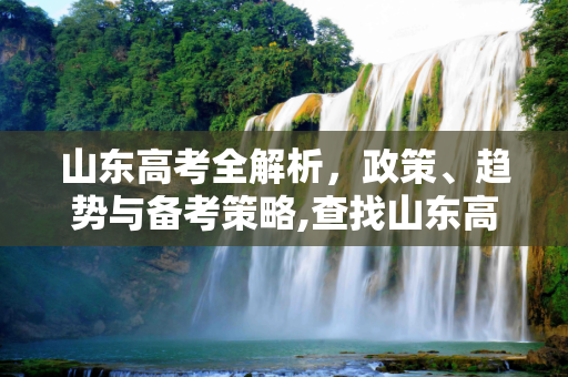 山东高考全解析，政策、趋势与备考策略,查找山东高考