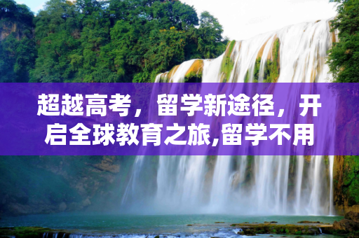 超越高考，留学新途径，开启全球教育之旅,留学不用高考
