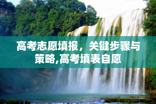 高考志愿填报，关键步骤与策略,高考填表自愿