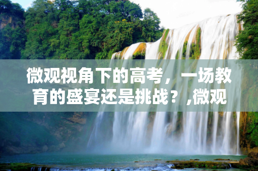 微观视角下的高考，一场教育的盛宴还是挑战？,微观高考好吗