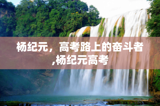 杨纪元，高考路上的奋斗者,杨纪元高考