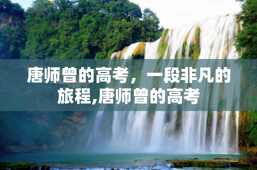 唐师曾的高考，一段非凡的旅程,唐师曾的高考