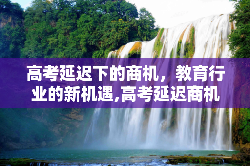 高考延迟下的商机，教育行业的新机遇,高考延迟商机