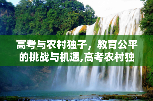 高考与农村独子，教育公平的挑战与机遇,高考农村独子