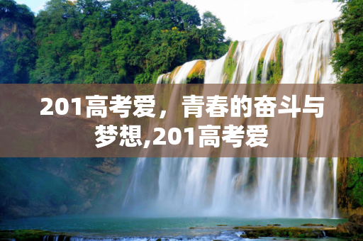 201高考爱，青春的奋斗与梦想,201高考爱