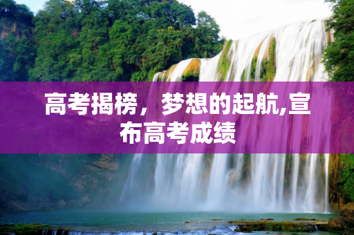 高考揭榜，梦想的起航,宣布高考成绩