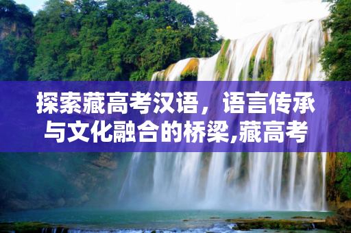 探索藏高考汉语，语言传承与文化融合的桥梁,藏高考汉语