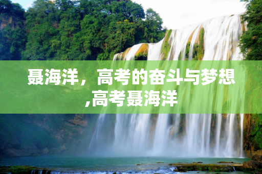 聂海洋，高考的奋斗与梦想,高考聂海洋