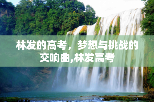 林发的高考，梦想与挑战的交响曲,林发高考