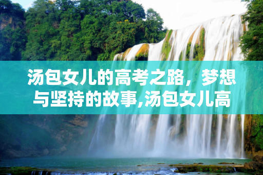 汤包女儿的高考之路，梦想与坚持的故事,汤包女儿高考