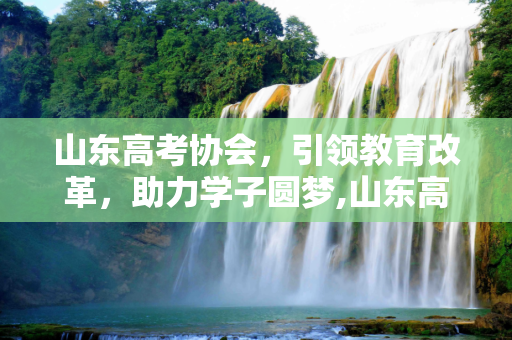 山东高考协会，引领教育改革，助力学子圆梦,山东高考协会