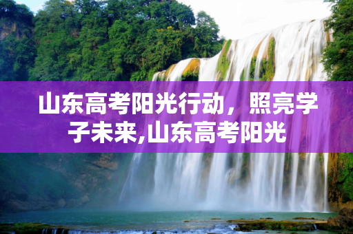 山东高考阳光行动，照亮学子未来,山东高考阳光
