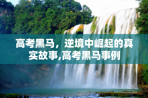 高考黑马，逆境中崛起的真实故事,高考黑马事例