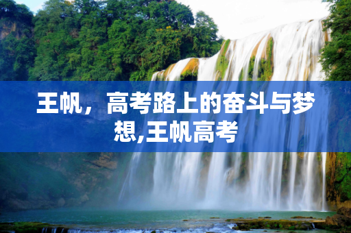 王帆，高考路上的奋斗与梦想,王帆高考