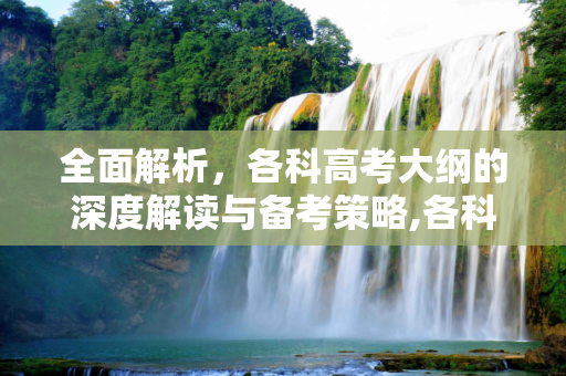 全面解析，各科高考大纲的深度解读与备考策略,各科高考大纲