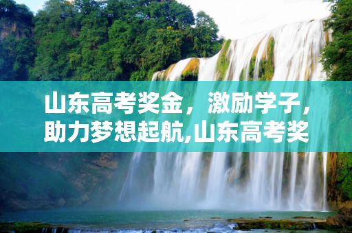 山东高考奖金，激励学子，助力梦想起航,山东高考奖金