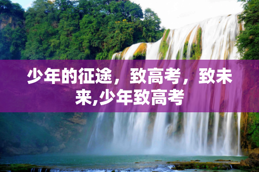 少年的征途，致高考，致未来,少年致高考