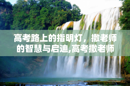 高考路上的指明灯，撒老师的智慧与启迪,高考撒老师