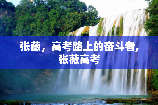 张薇，高考路上的奋斗者,张薇高考