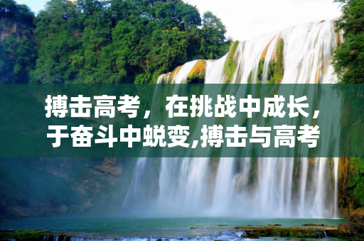 搏击高考，在挑战中成长，于奋斗中蜕变,搏击与高考