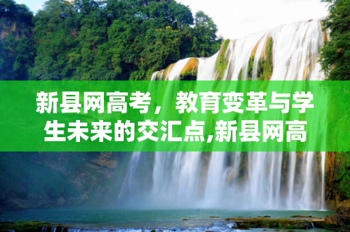 新县网高考，教育变革与学生未来的交汇点,新县网高考
