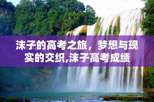 沫子的高考之旅，梦想与现实的交织,沫子高考成绩