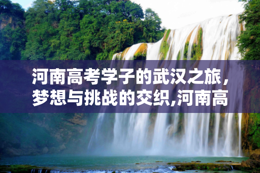 河南高考学子的武汉之旅，梦想与挑战的交织,河南高考武汉