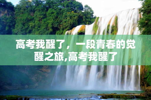高考我醒了，一段青春的觉醒之旅,高考我醒了