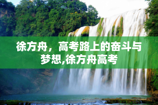徐方舟，高考路上的奋斗与梦想,徐方舟高考