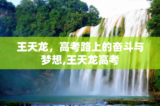 王天龙，高考路上的奋斗与梦想,王天龙高考