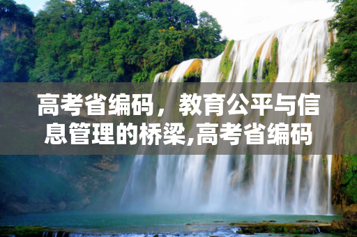 高考省编码，教育公平与信息管理的桥梁,高考省编码