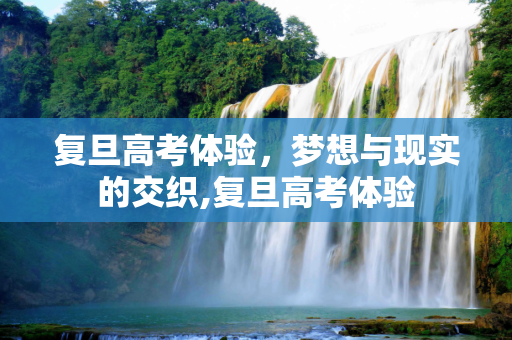 复旦高考体验，梦想与现实的交织,复旦高考体验