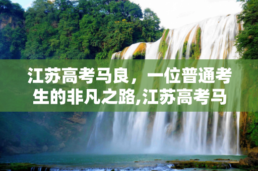 江苏高考马良，一位普通考生的非凡之路,江苏高考马良