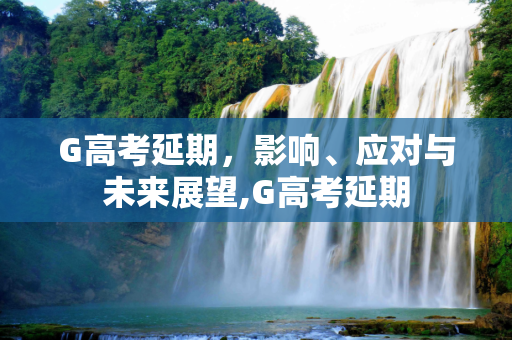 G高考延期，影响、应对与未来展望,G高考延期