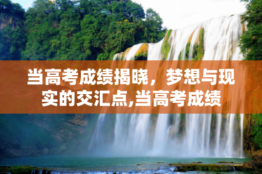 当高考成绩揭晓，梦想与现实的交汇点,当高考成绩