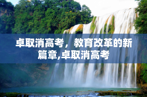 卓取消高考，教育改革的新篇章,卓取消高考