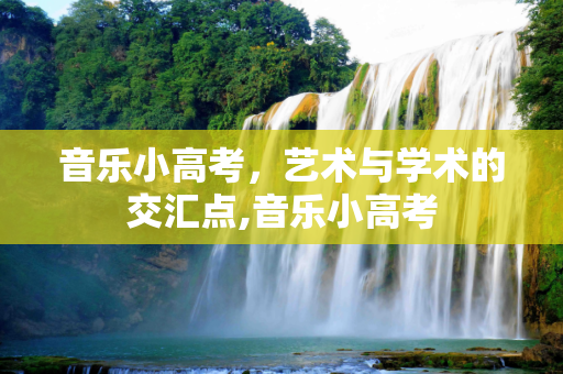 音乐小高考，艺术与学术的交汇点,音乐小高考