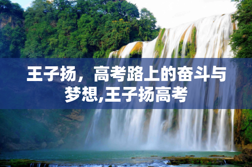 王子扬，高考路上的奋斗与梦想,王子扬高考