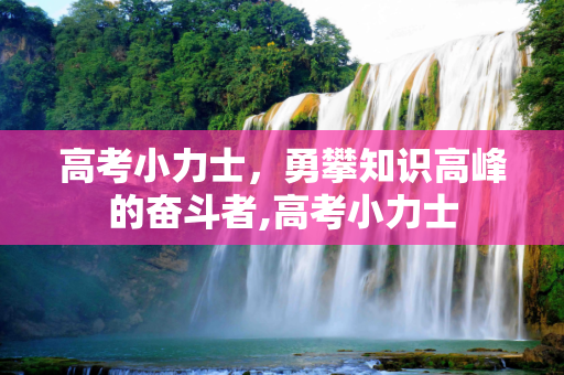 高考小力士，勇攀知识高峰的奋斗者,高考小力士