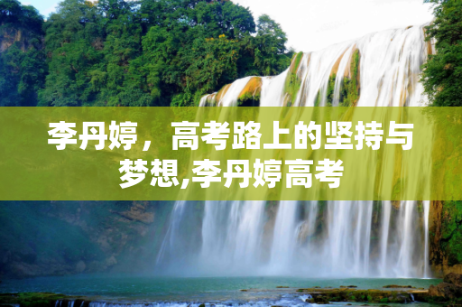李丹婷，高考路上的坚持与梦想,李丹婷高考