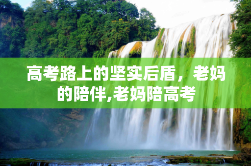 高考路上的坚实后盾，老妈的陪伴,老妈陪高考