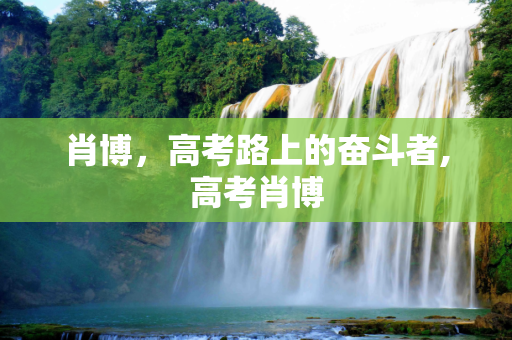 肖博，高考路上的奋斗者,高考肖博