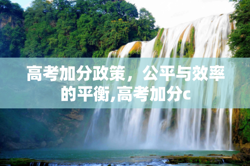 高考加分政策，公平与效率的平衡,高考加分c