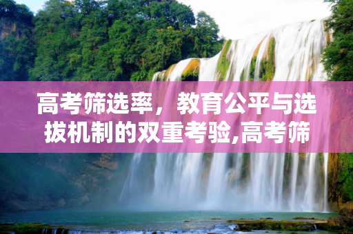 高考筛选率，教育公平与选拔机制的双重考验,高考筛选率