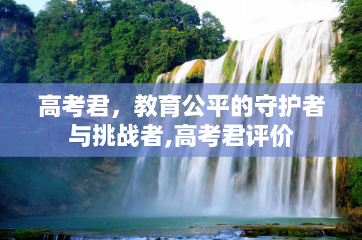 高考君，教育公平的守护者与挑战者,高考君评价