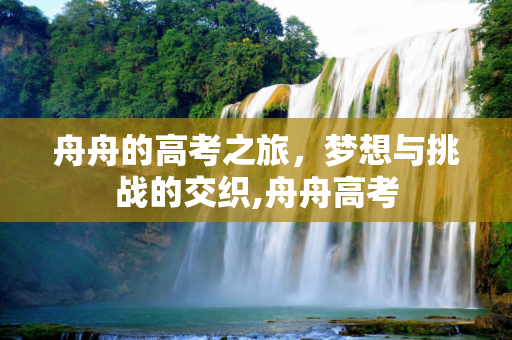 舟舟的高考之旅，梦想与挑战的交织,舟舟高考